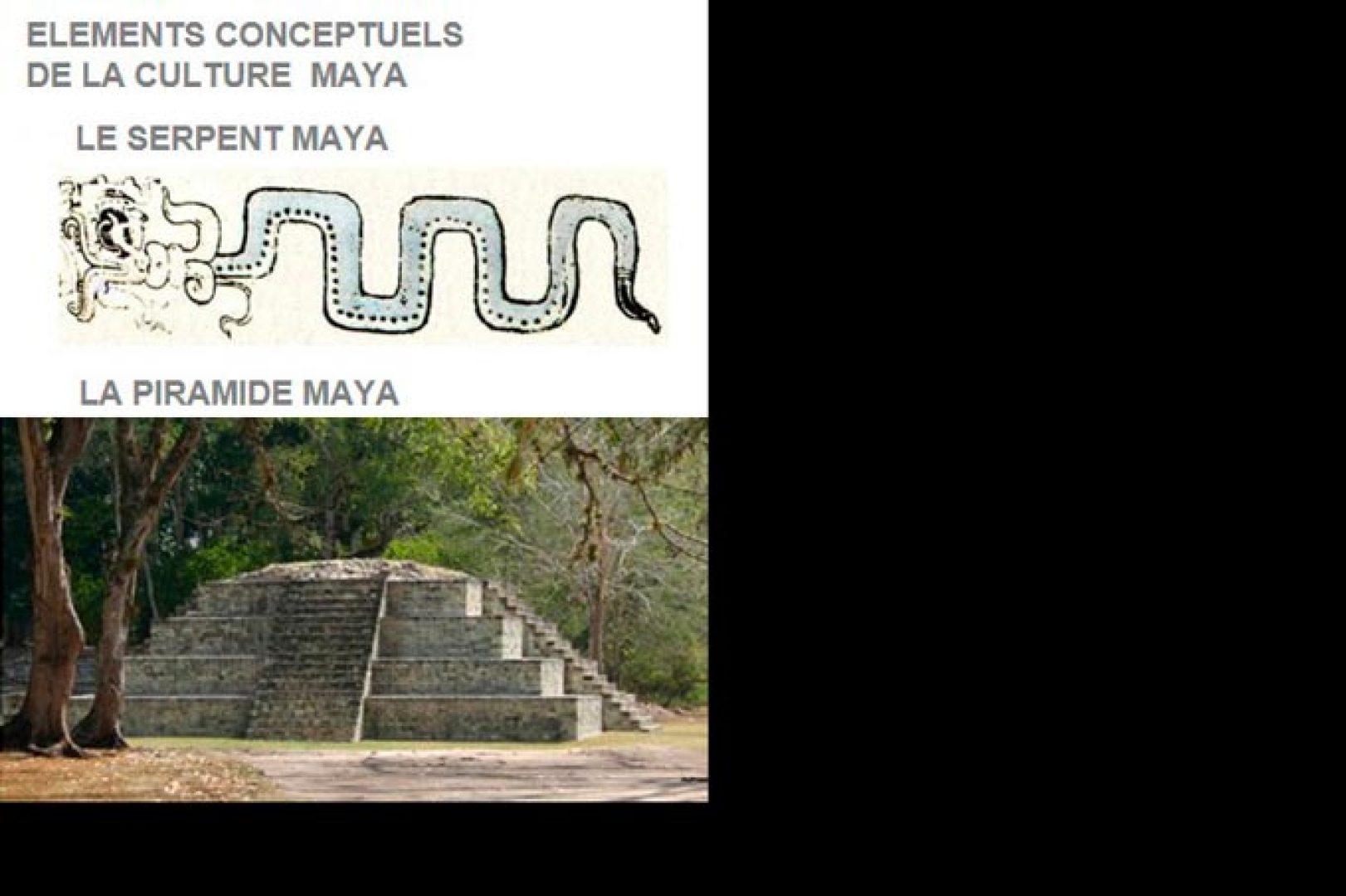 Référence : Le serpent Maya, symbole de vie et connaissance